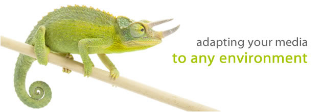 adapting your media to any environment