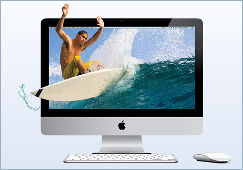flip4mac wmv plugin flip4mac wmv plugin