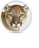 Mountain Lion