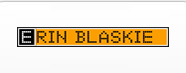 ScreenFlow is used by Erin Blaske