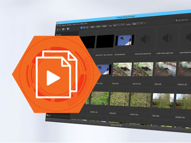 Vantage Media Manager