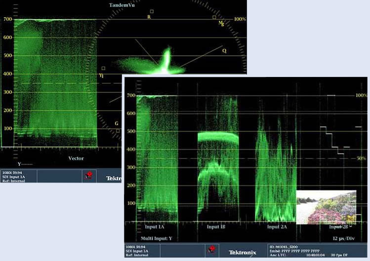 Waveform Monitor Combo