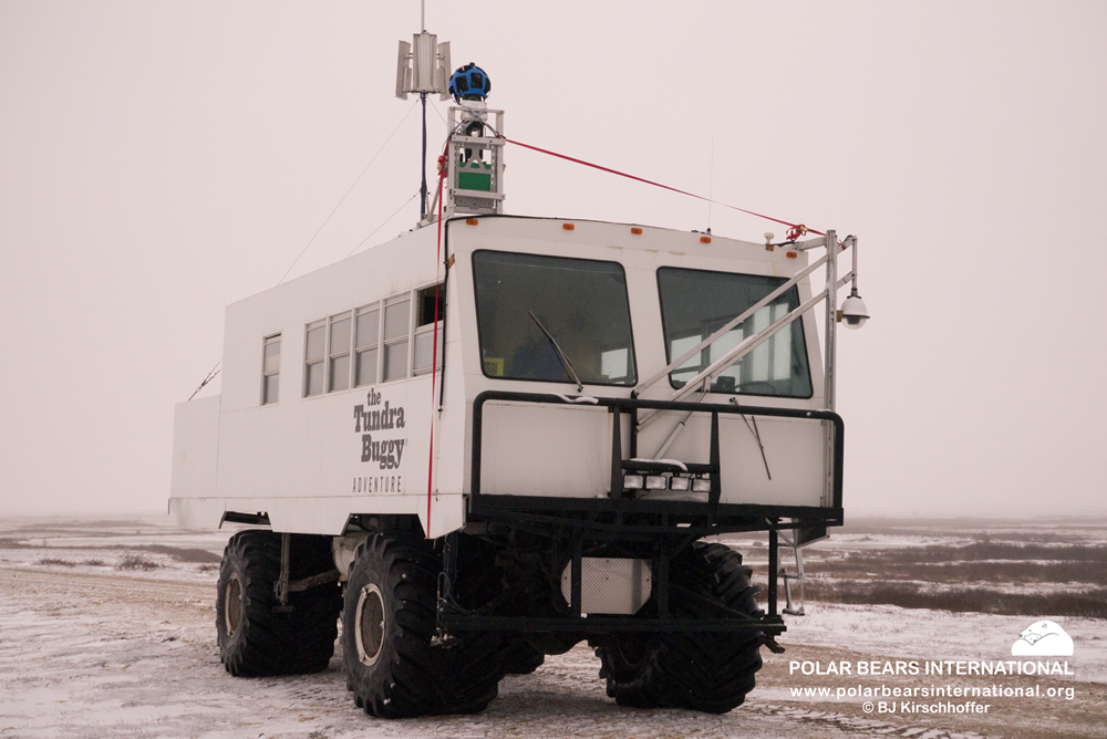 Telestream Wirecast Enables Live Polar Bear Broadcast From The Arctic ...