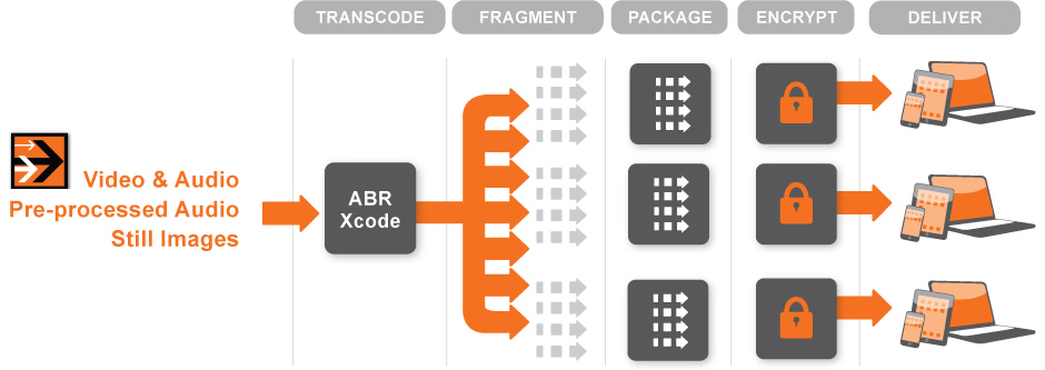 vantage multiscreen diagram