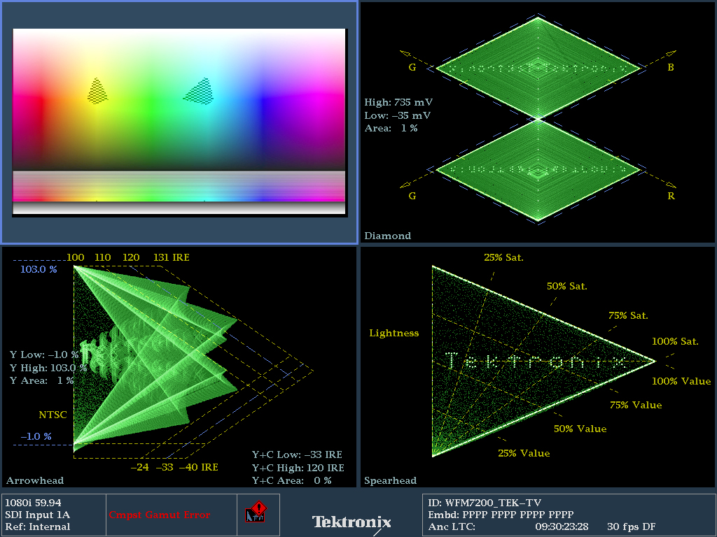 Waveform Monitor Gamut Displays